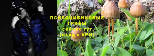 марихуана Бородино