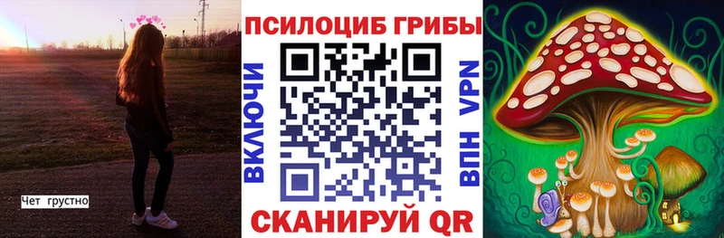 Галлюциногенные грибы мухоморы  наркотики  Северск 