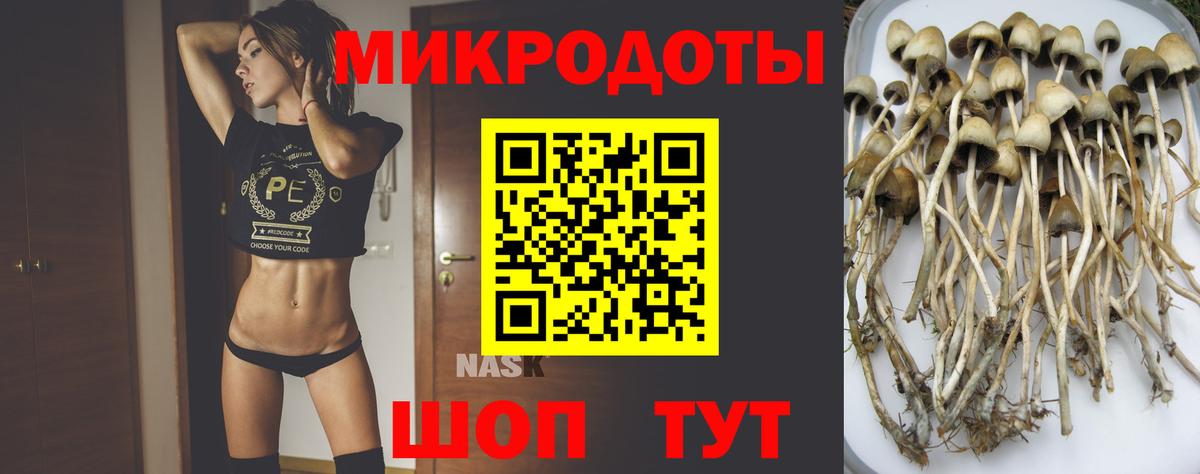 Галлюциногенные грибы Cubensis  Вход с VPN  Северск 