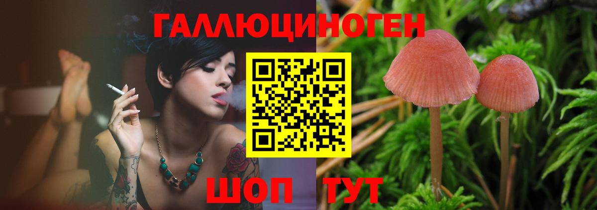Псилоцибиновые грибы мицелий Северск