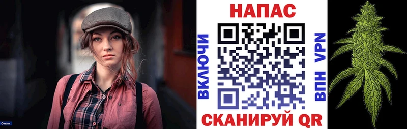 OMG сайт  цена наркотик  Северск  Шишки марихуана план 